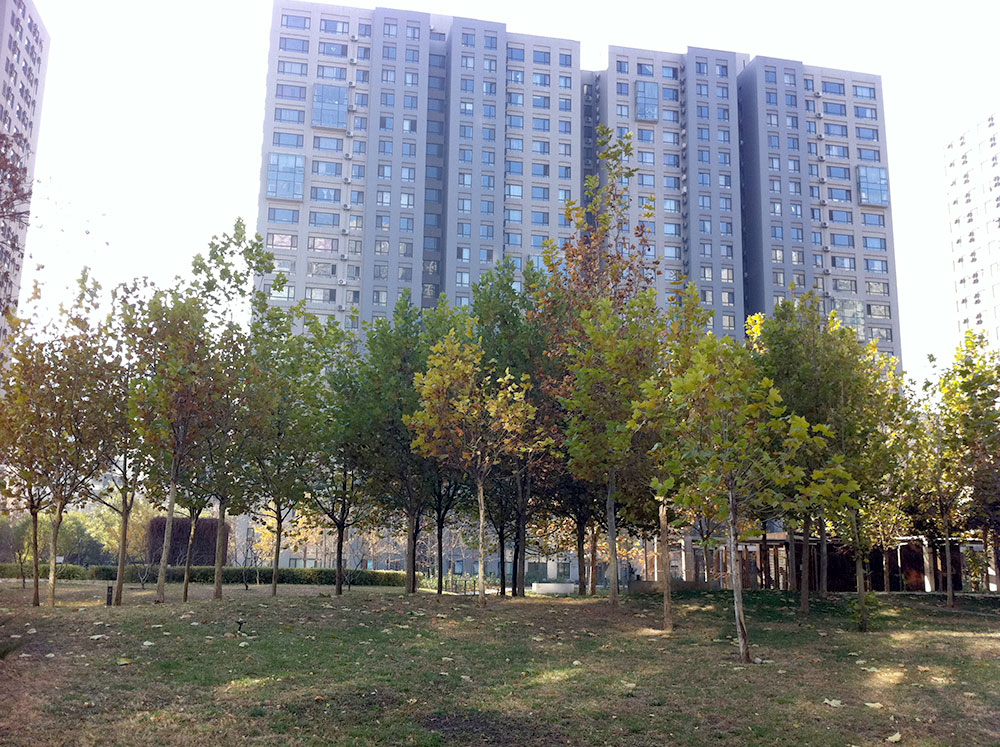 Complejo de los apartamentos compartidos en Pekín